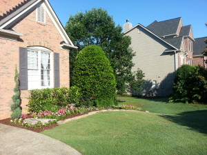 Flower Bed